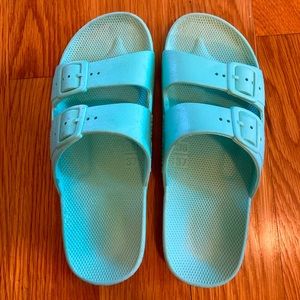 EUC Freedom Moses Slides